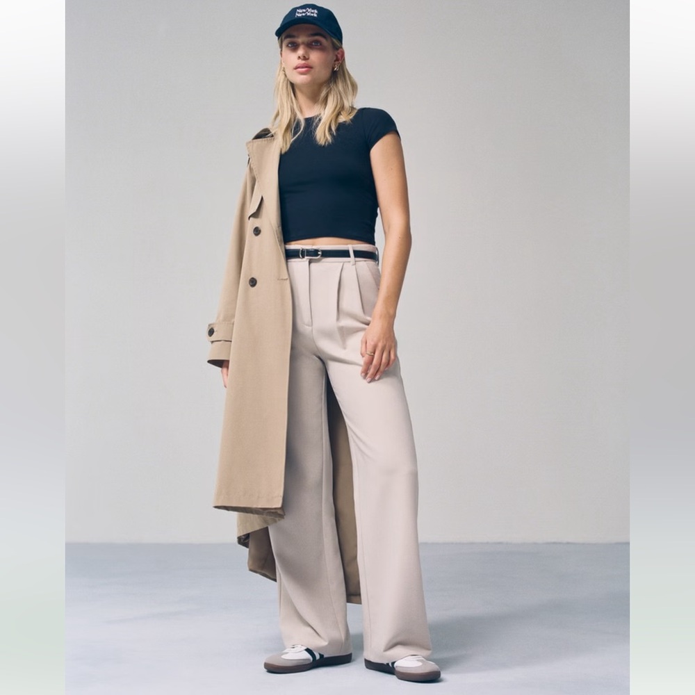 Abercrombie & Fitch Sloane Tailored Wide Leg Pant Light Taupe 31/12 L